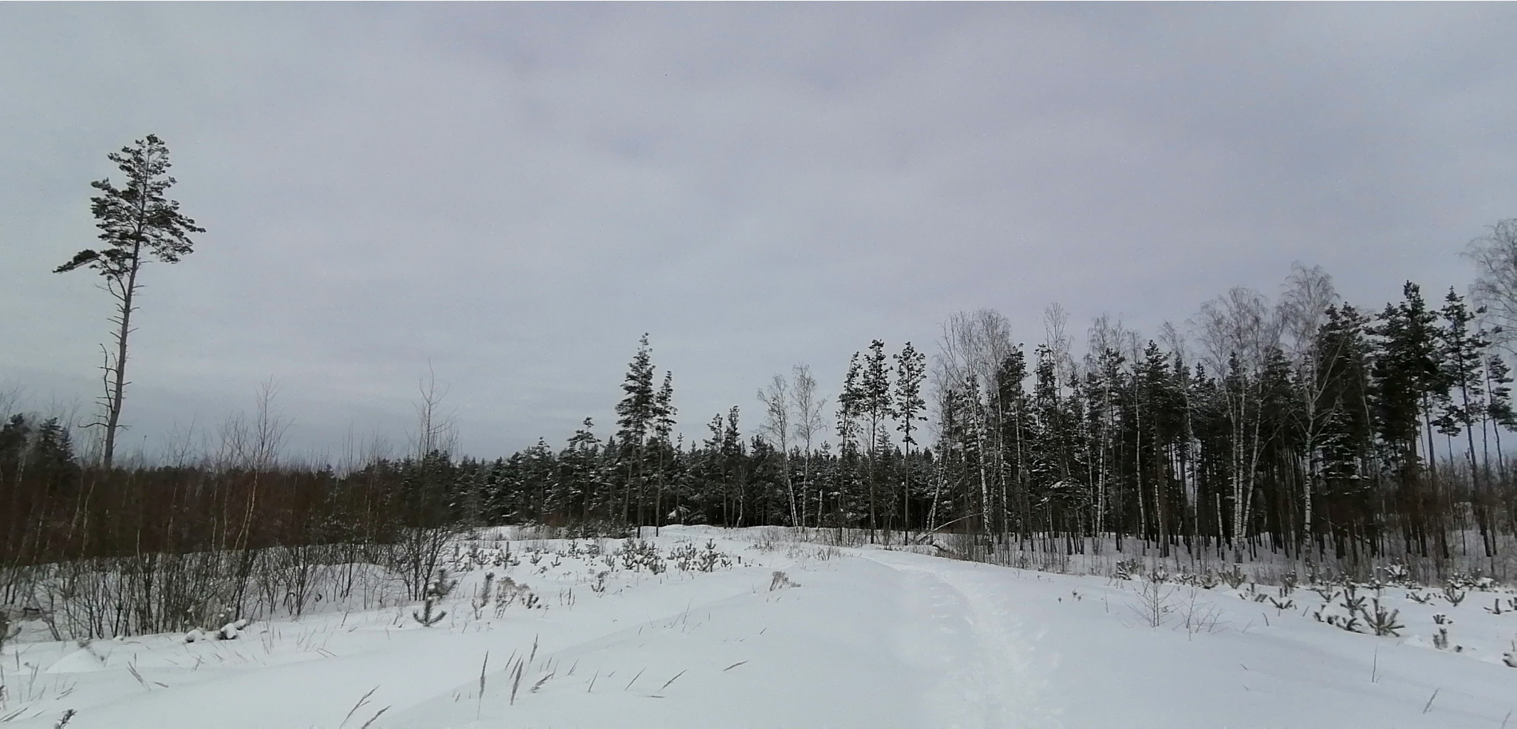 IMG 20210228 120517.jpg