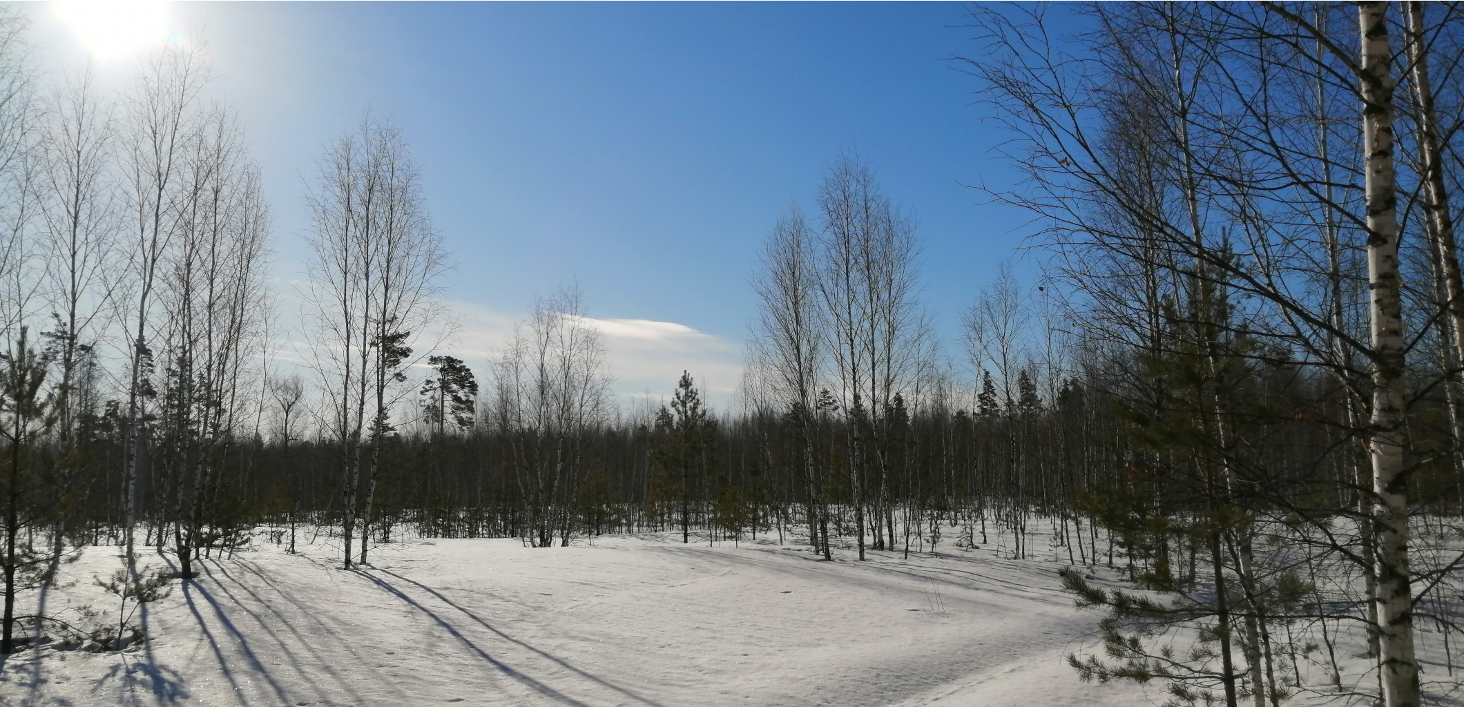 IMG 20210328 083406.jpg