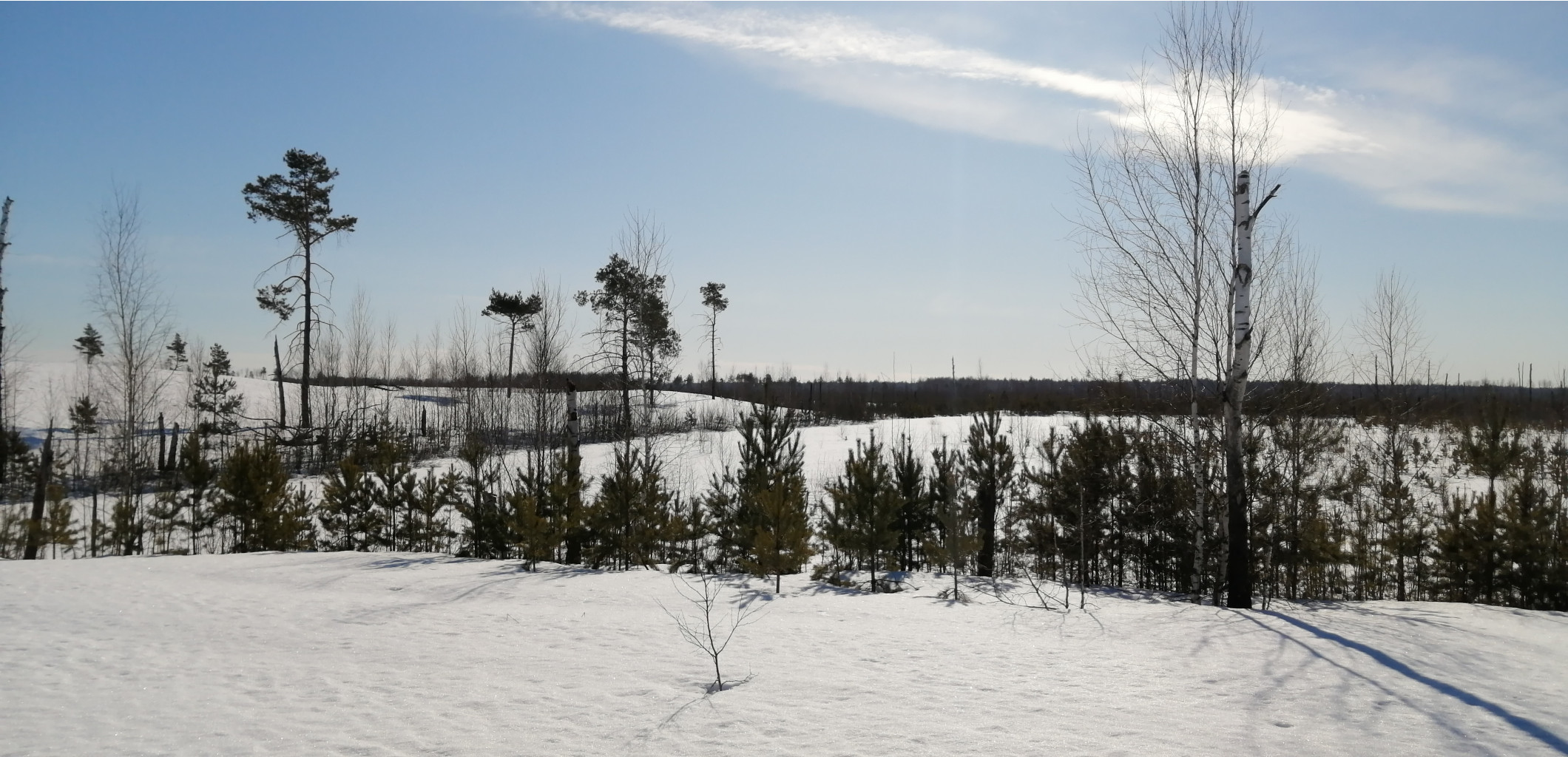 IMG 20210328 091142.jpg
