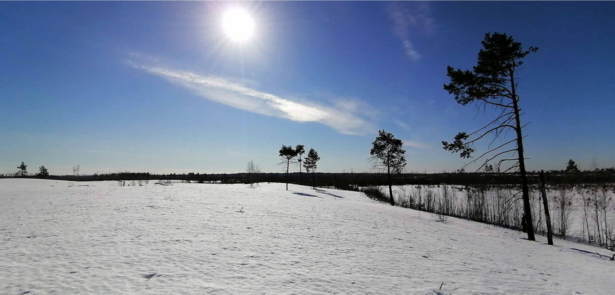 IMG 20210328 091356.jpg