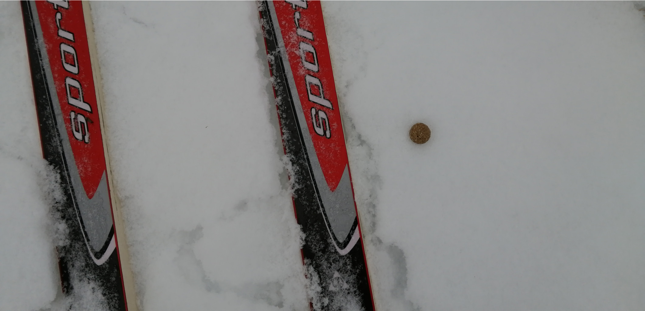 IMG 20210320 122742.jpg