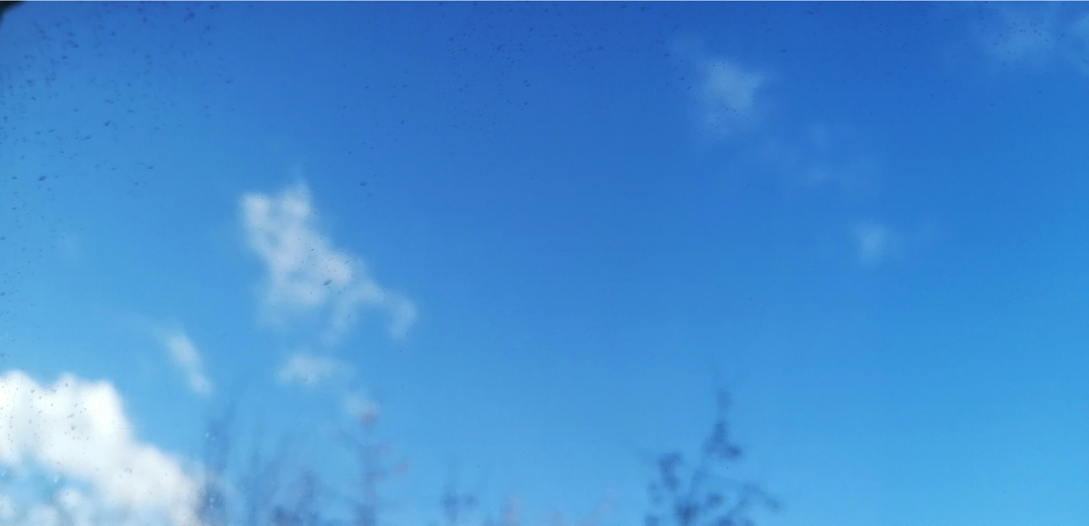 IMG 20210320 153312.jpg