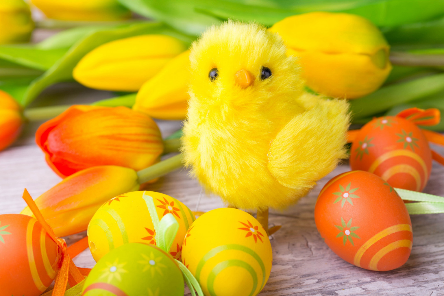 202dd2a-2019-04-17-Holidays Easter Tulips Chickens Eggs 518880 2560x1706.jpg