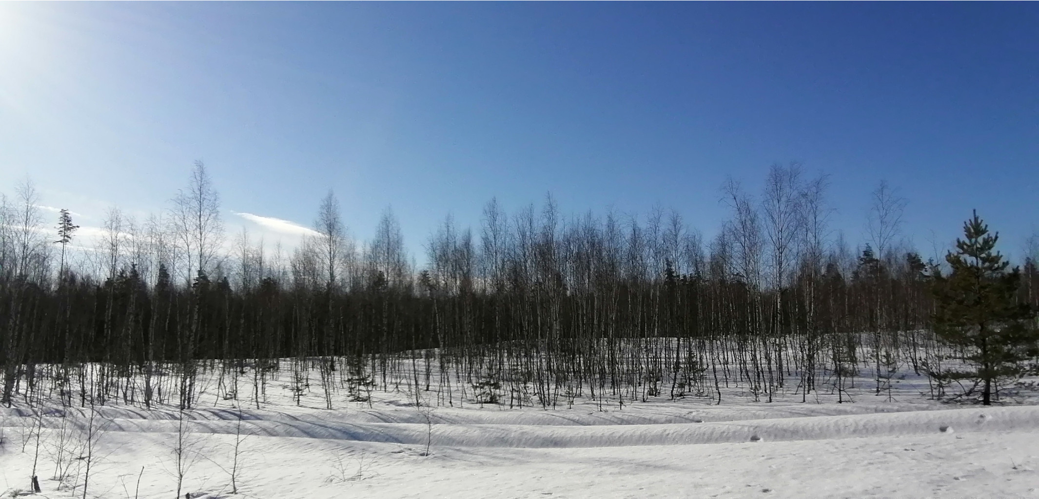 IMG 20210328 083810.jpg