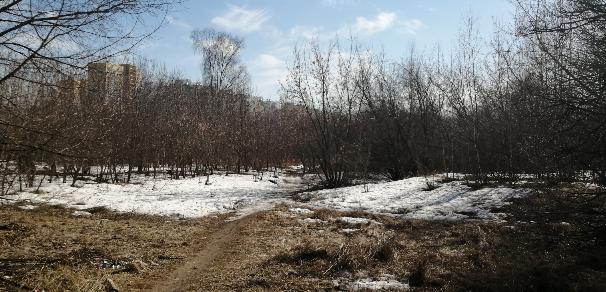 IMG 20210410 142854.jpg