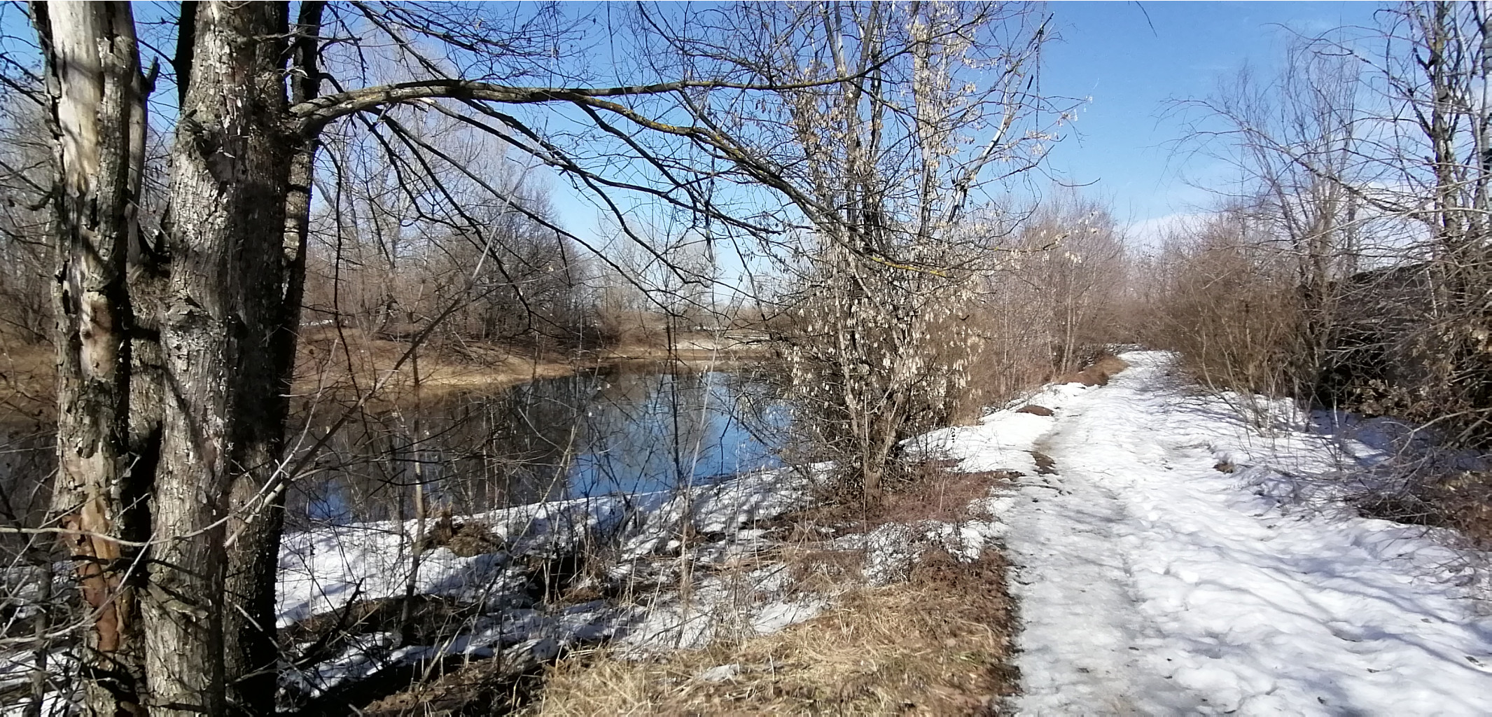 IMG 20210410 135929.jpg