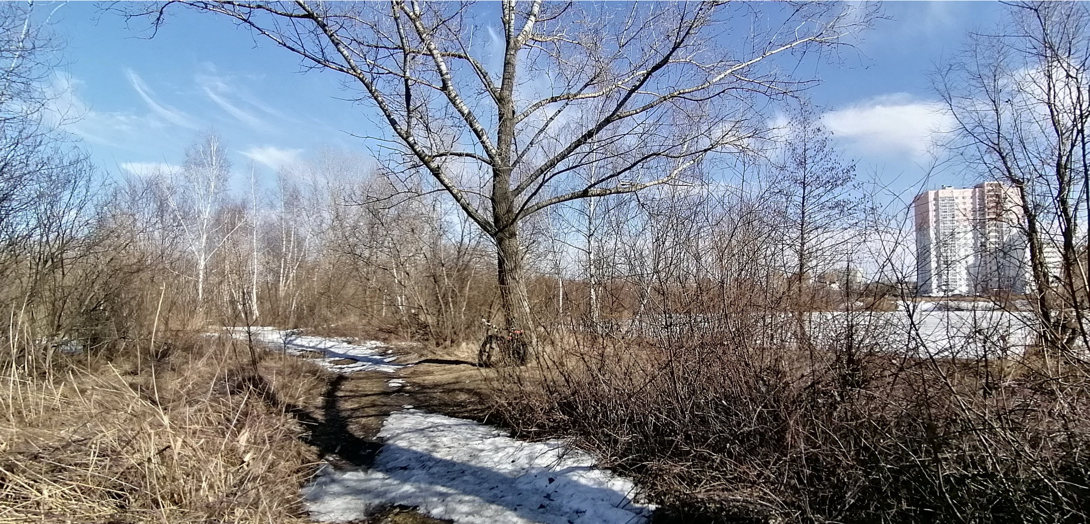 IMG 20210410 145141.jpg