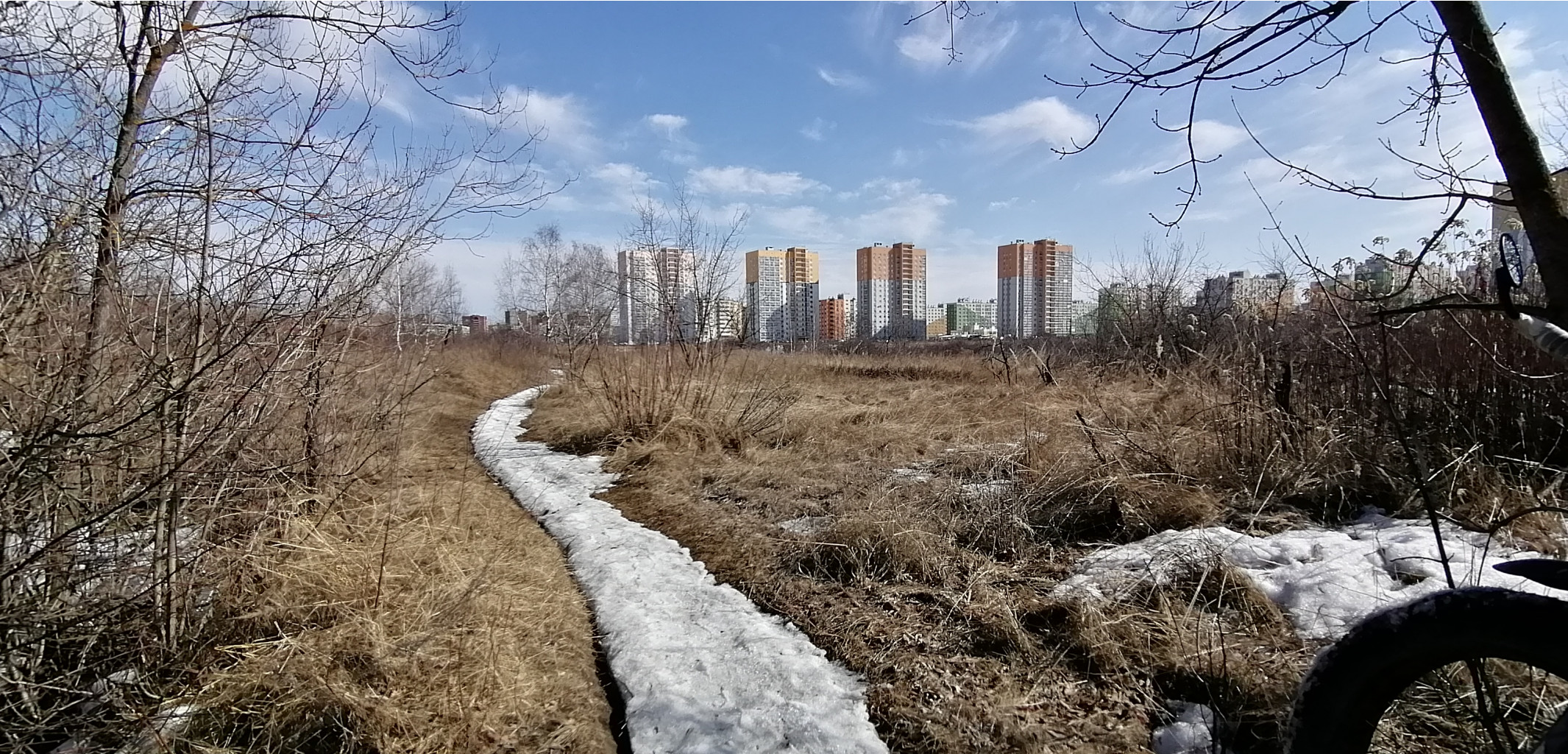 IMG 20210410 143413.jpg