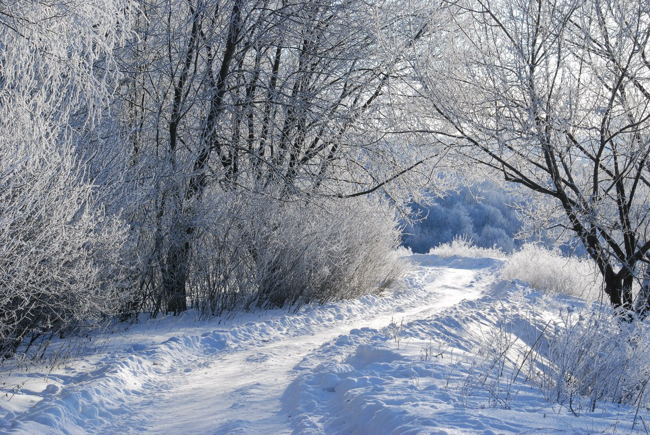 Z8JBEnY6C80.jpg