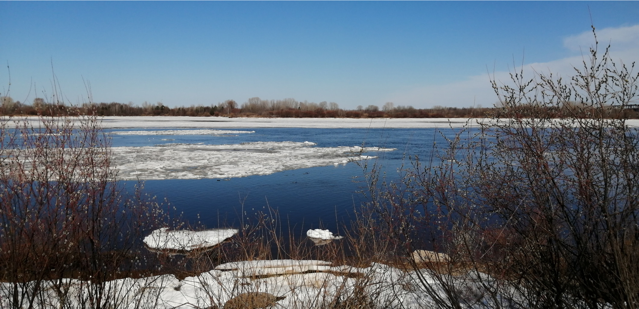 IMG 20210410 133649.jpg