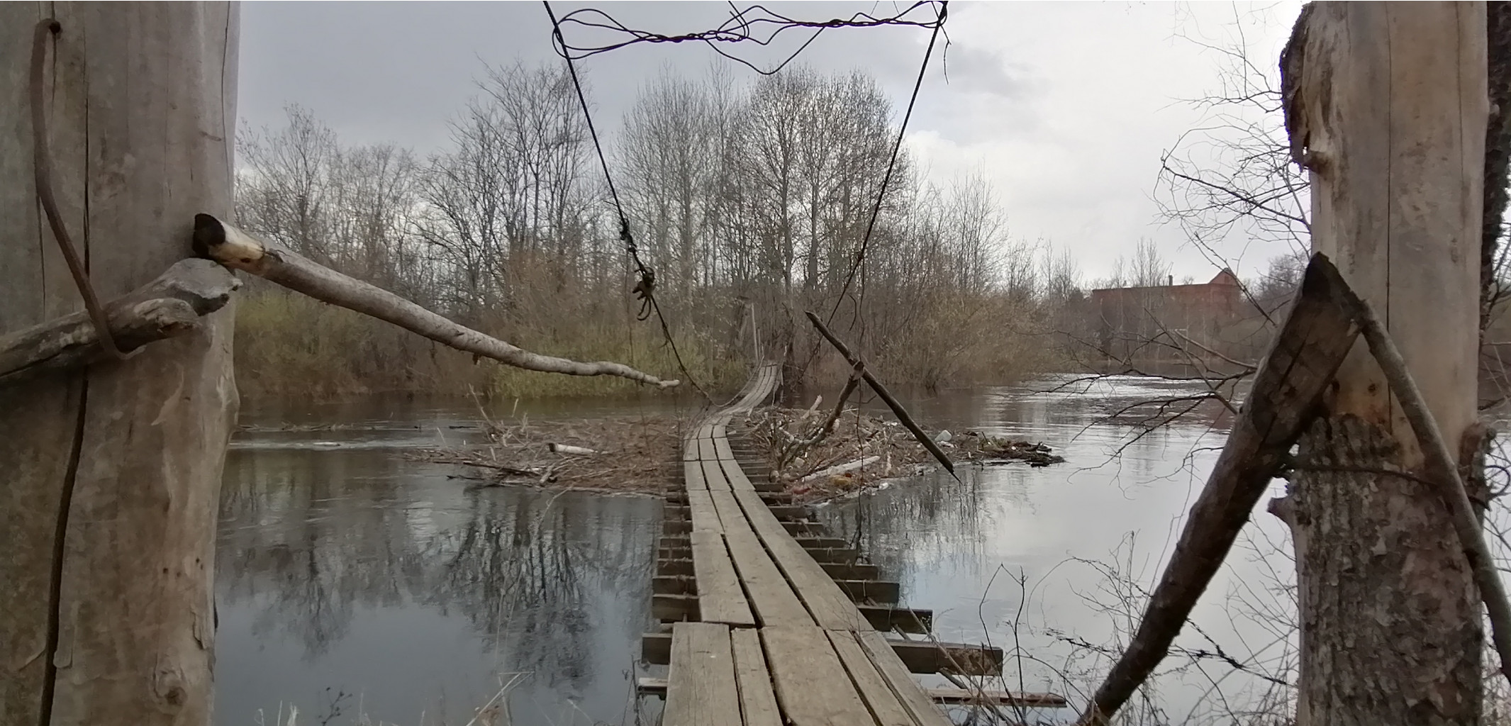 IMG 20210424 122234.jpg