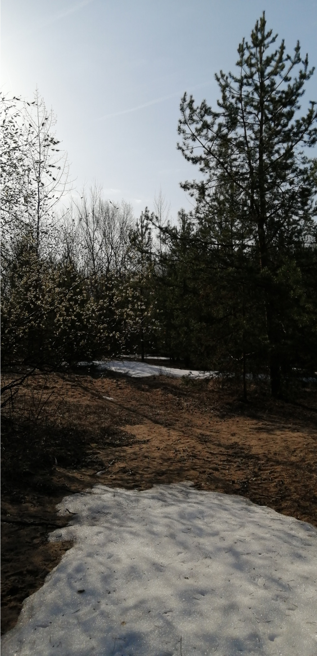 IMG 20210417 075422.jpg