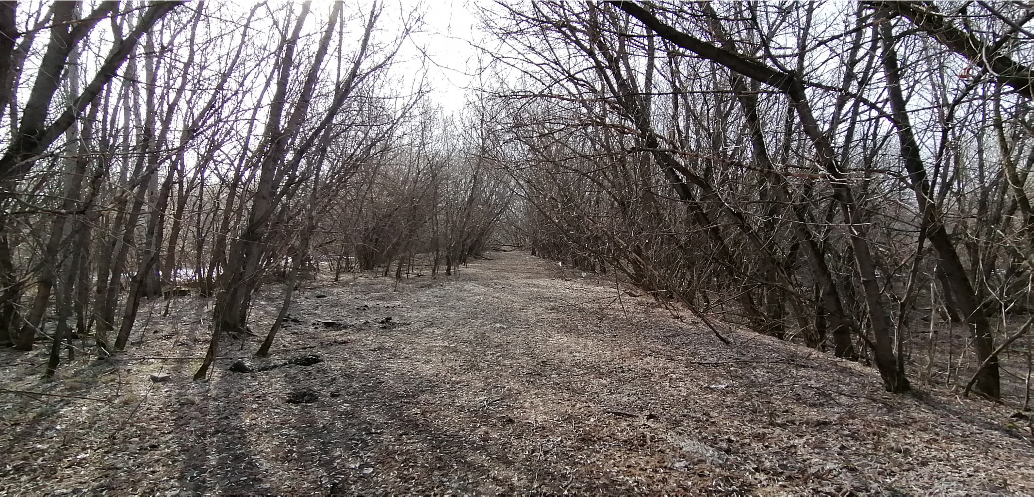 IMG 20210416 081236.jpg