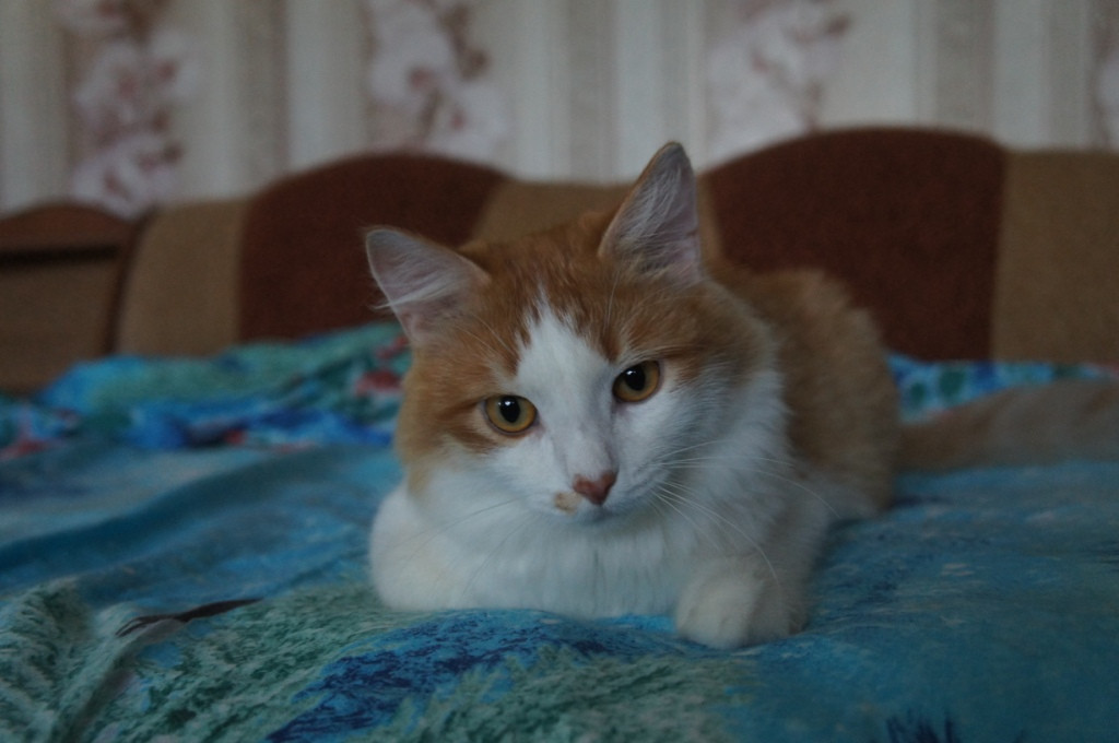 DSC02741.JPG