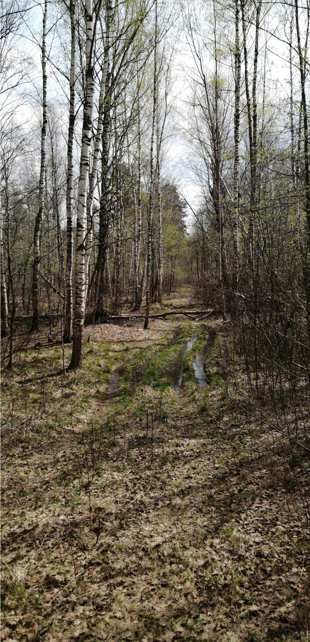 IMG 20210506 115549.jpg
