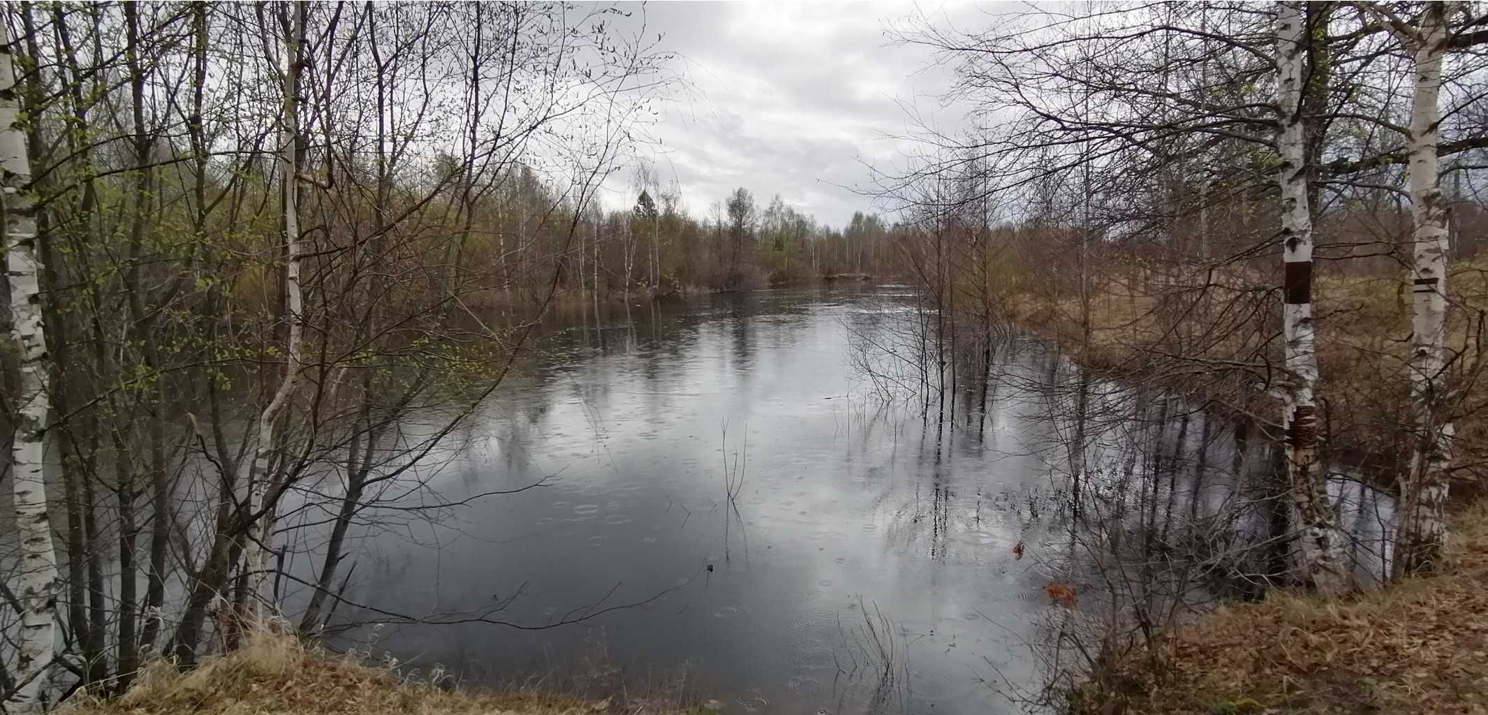 IMG 20210501 124328.jpg