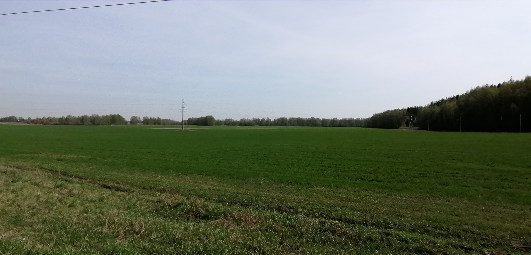 IMG 20210506 100448.jpg