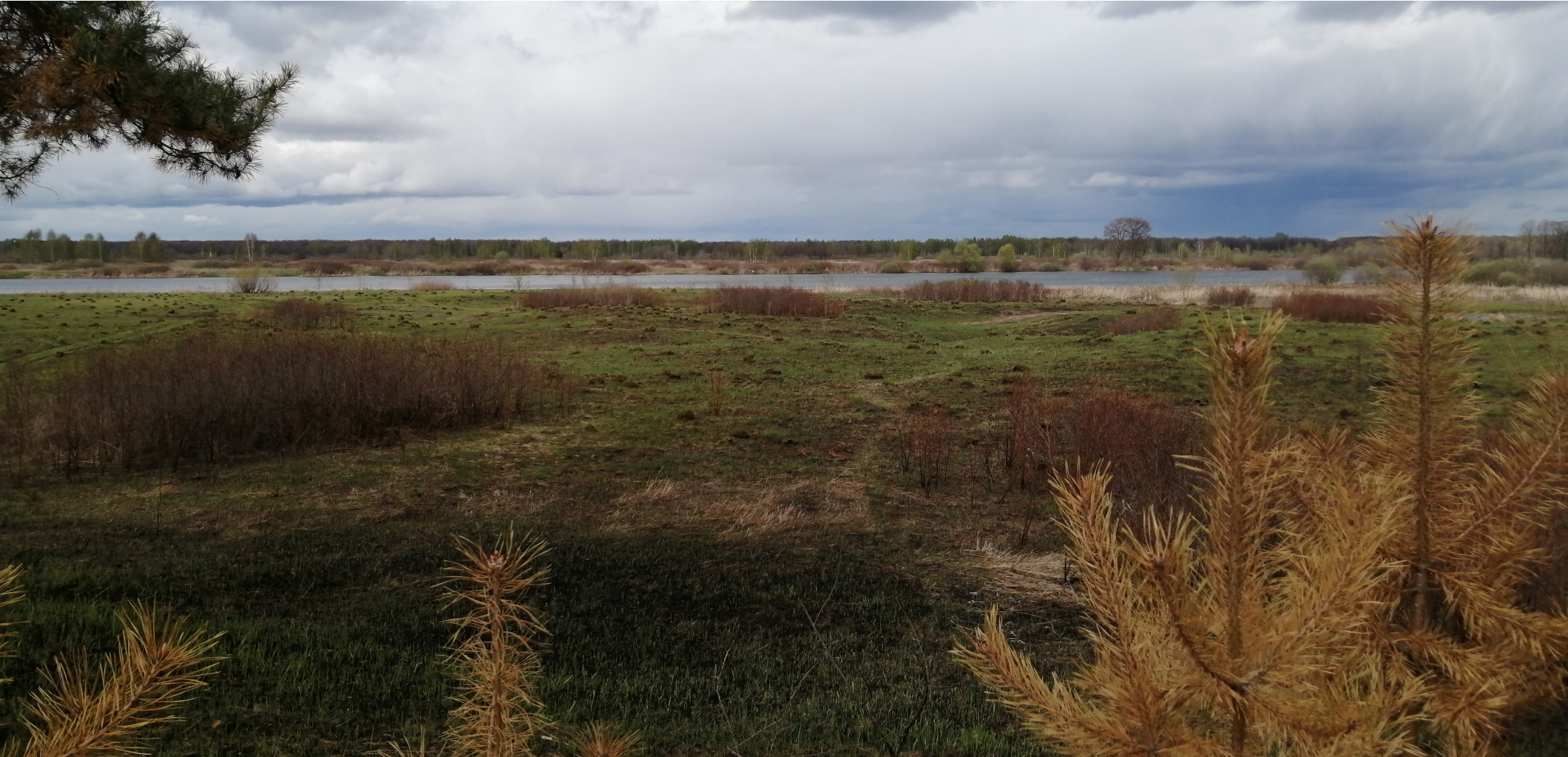 IMG 20210505 142627.jpg