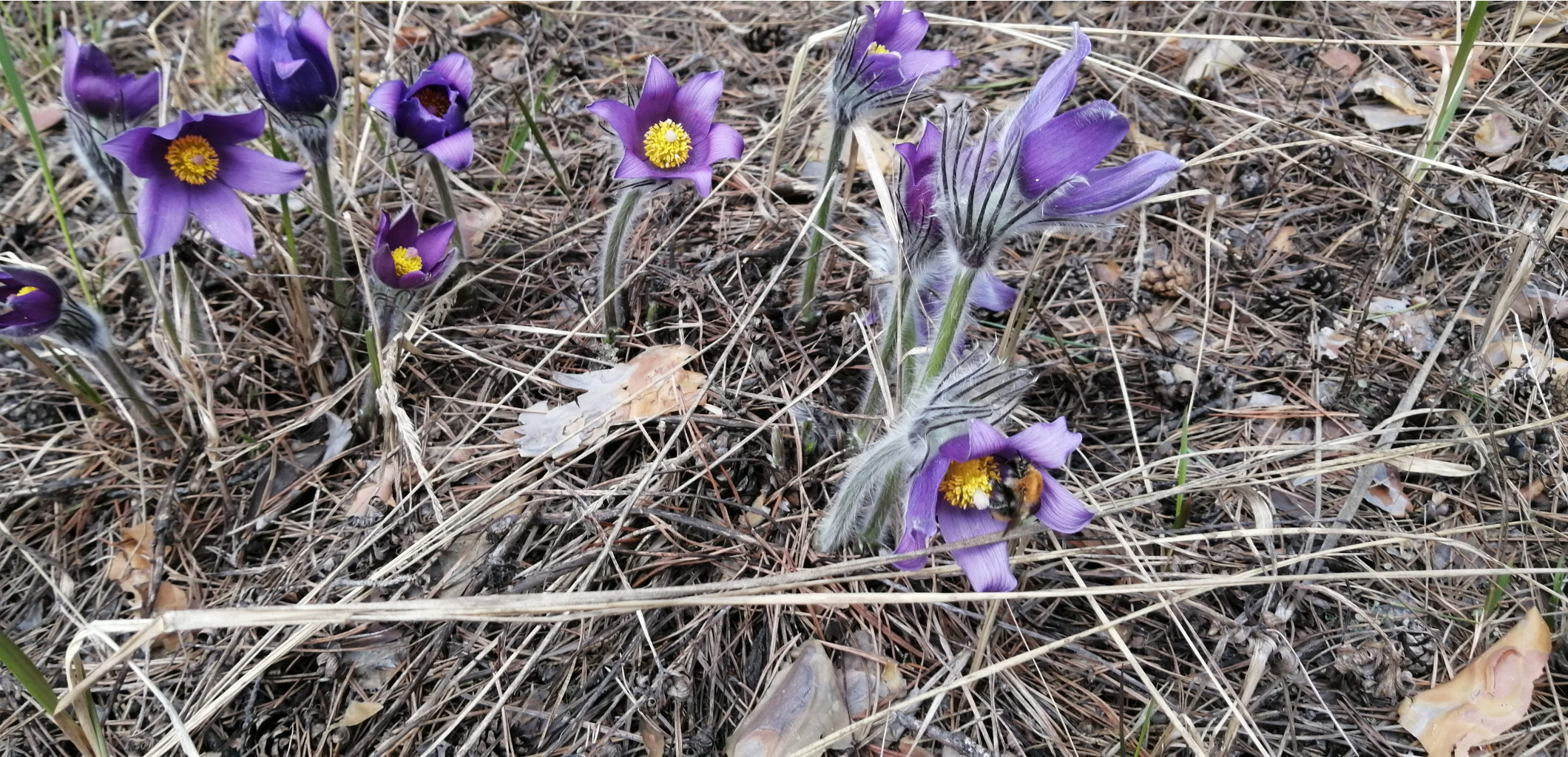 IMG 20210502 135422.jpg