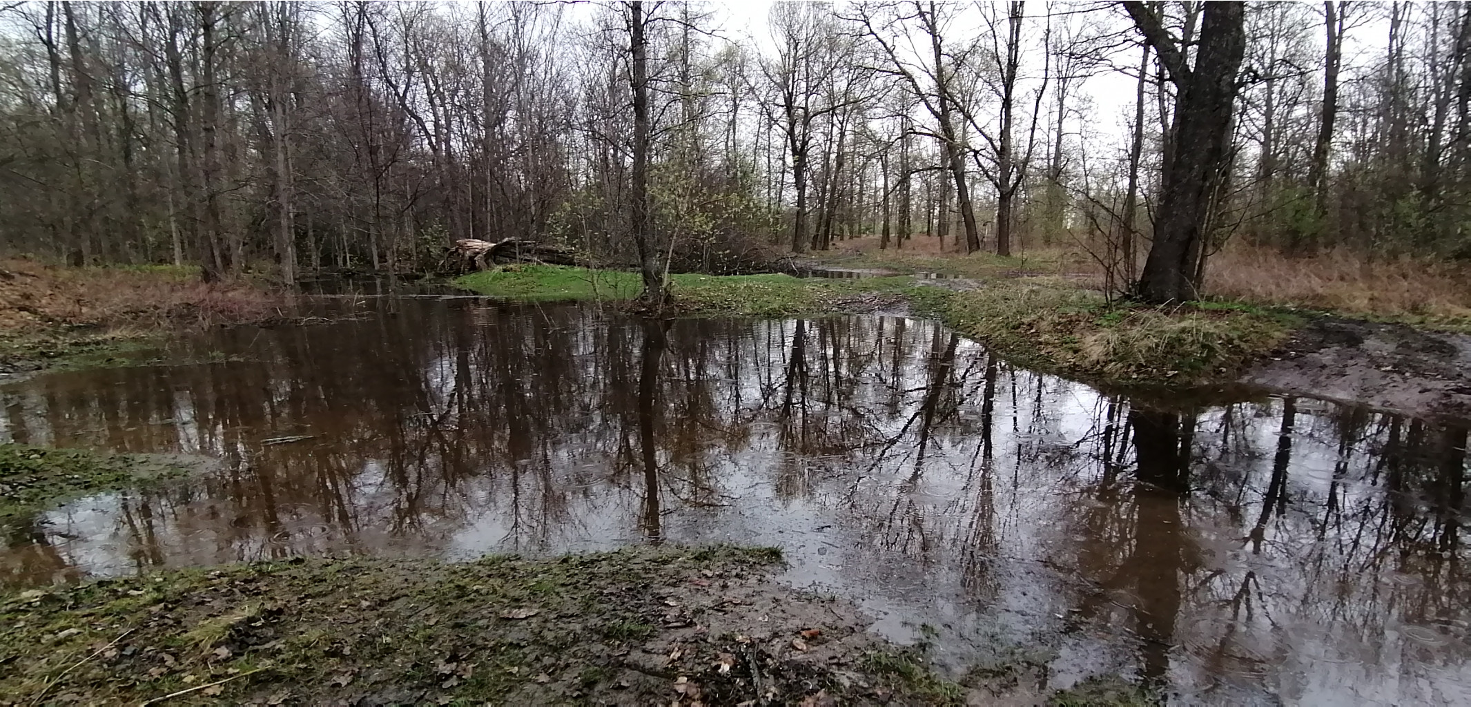 IMG 20210509 125215.jpg