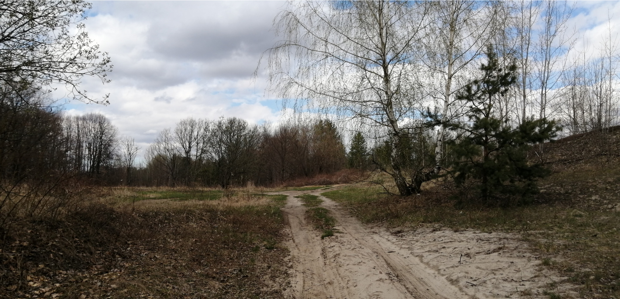 IMG 20210501 133550.jpg