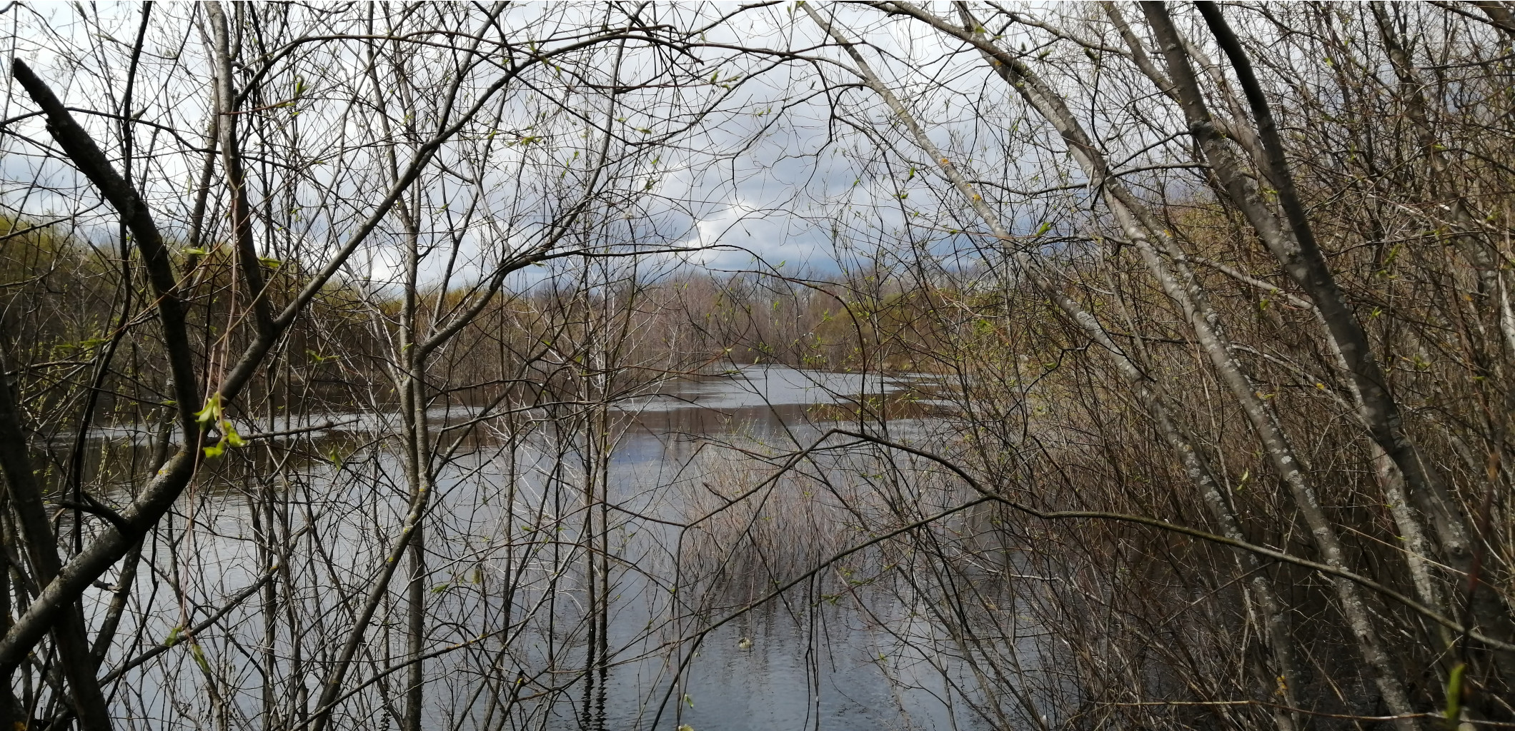 IMG 20210501 110905.jpg