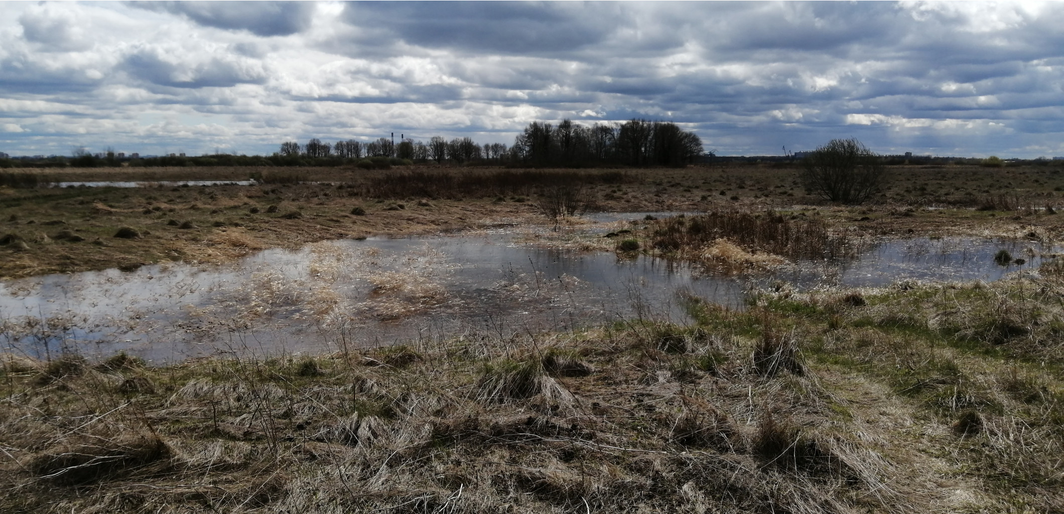 IMG 20210505 133646.jpg