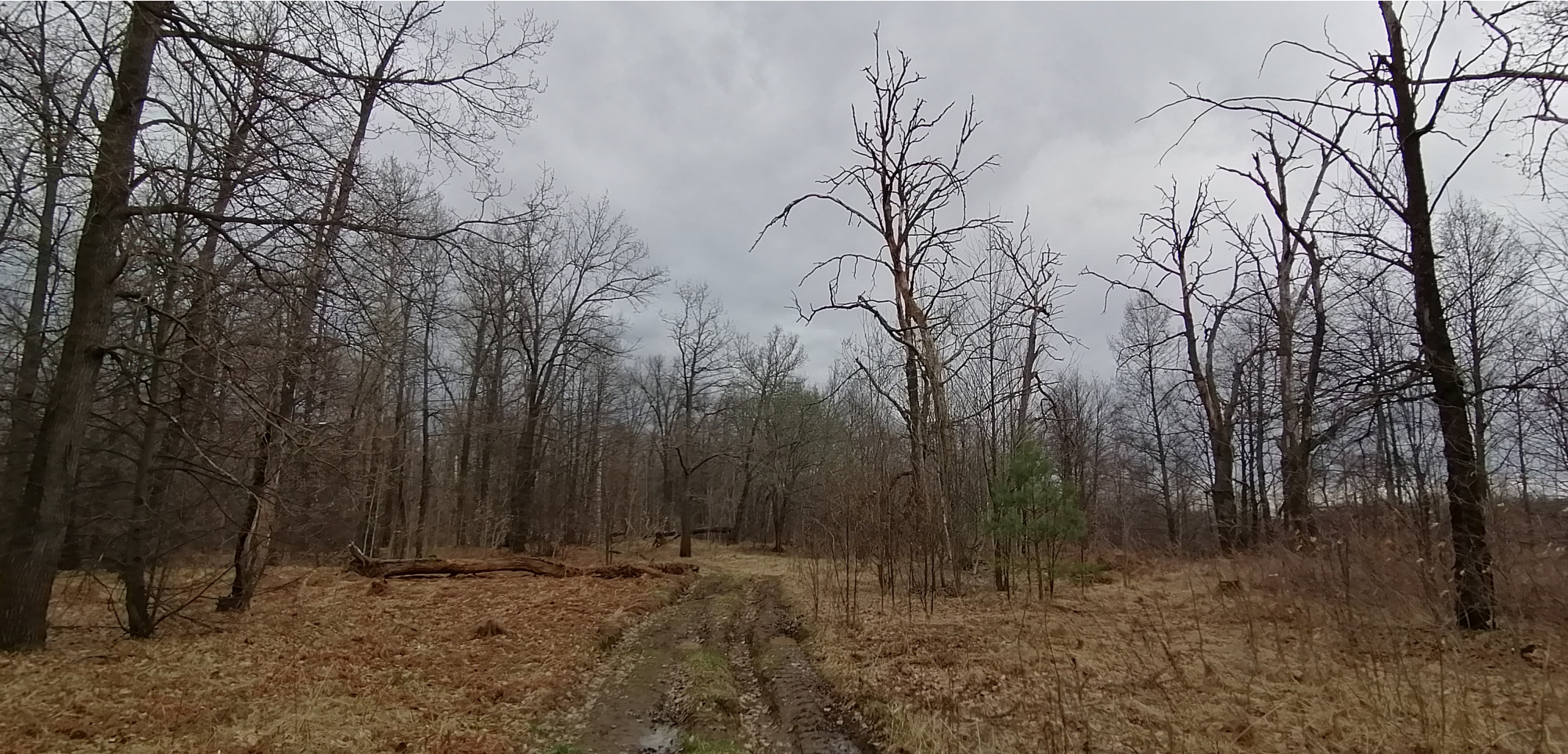 IMG 20210501 120205.jpg