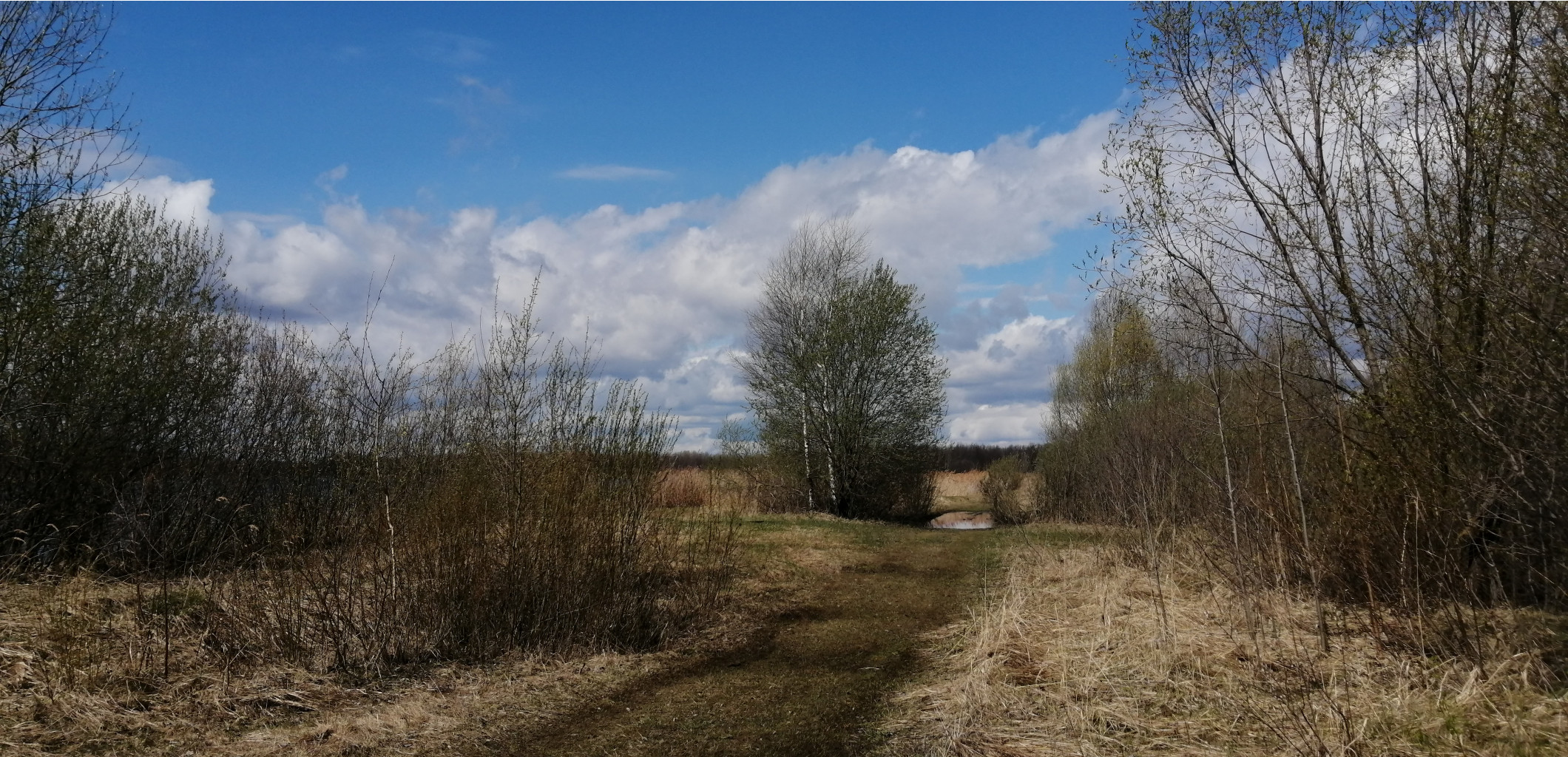 IMG 20210501 104006.jpg