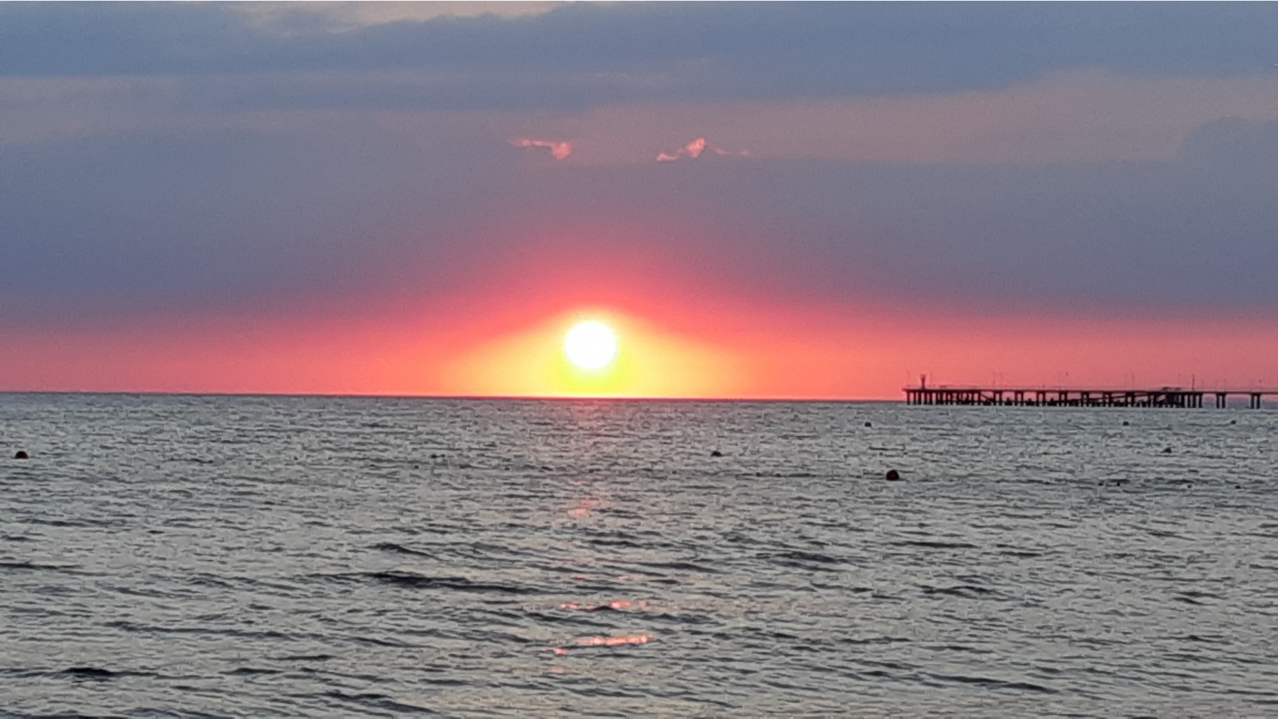 20200718 201039 010 saved.jpg