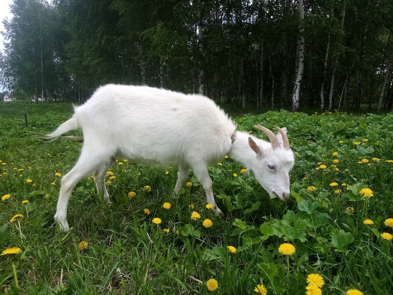 IMG 20210521 112719 —  — .jpg