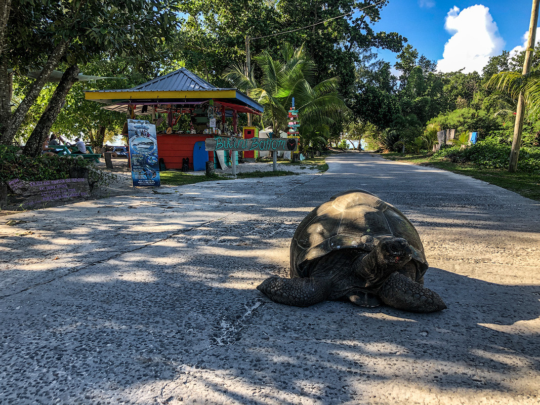 Seychelles122.jpg