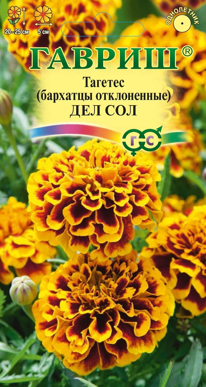 Дел сол