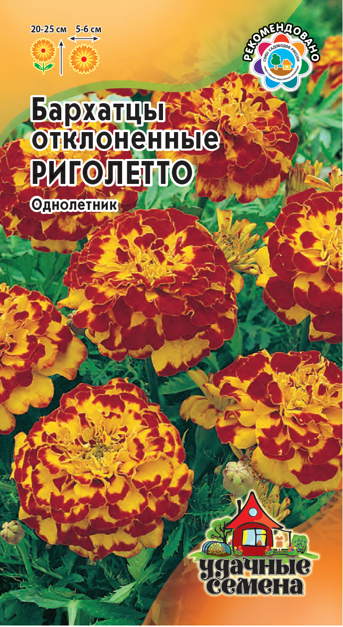 Риголетто