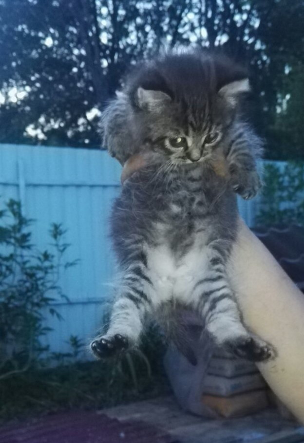  viber 2021-06-28 22-46-06.jpg