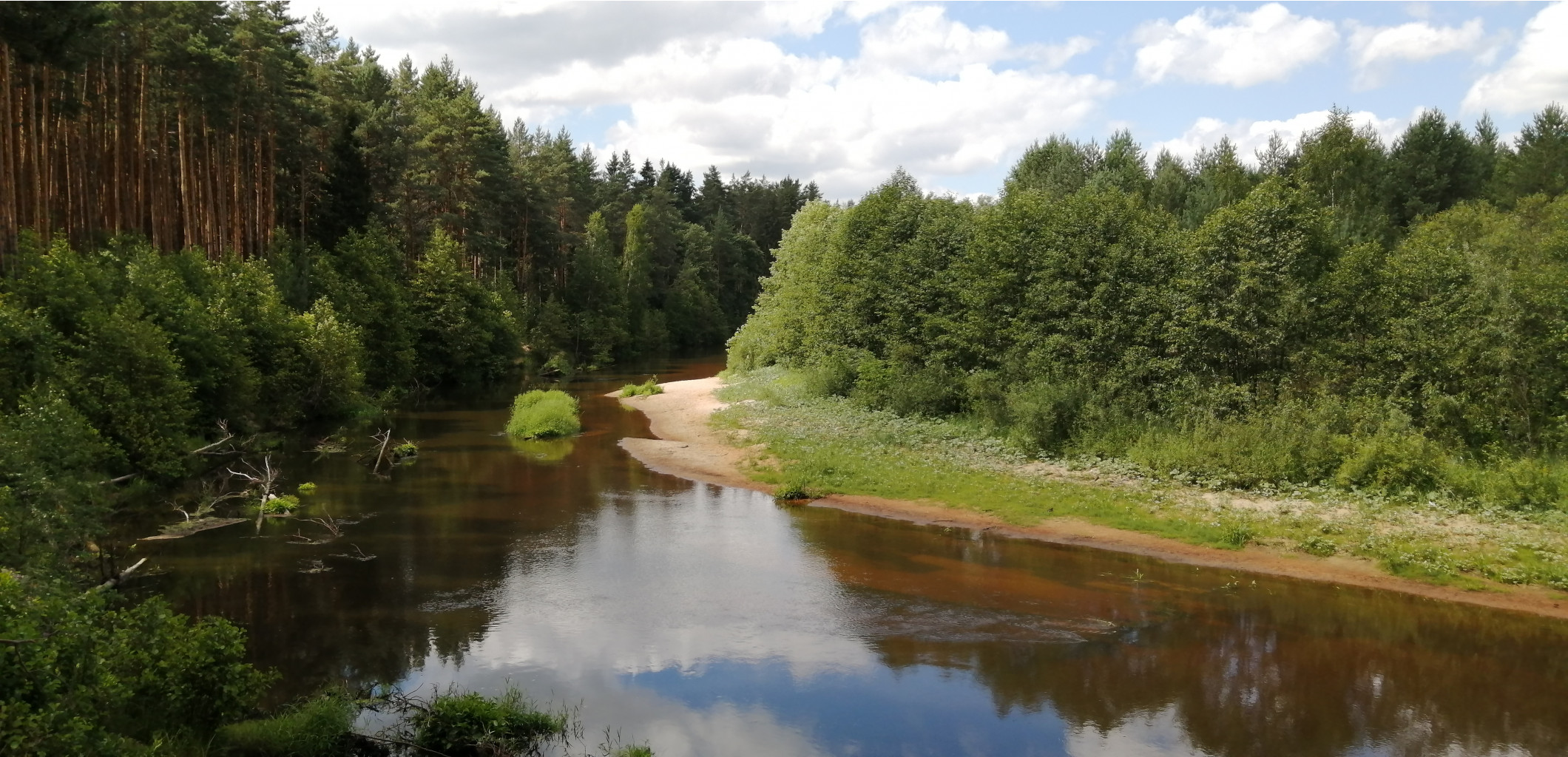 IMG 20210705 104956.jpg