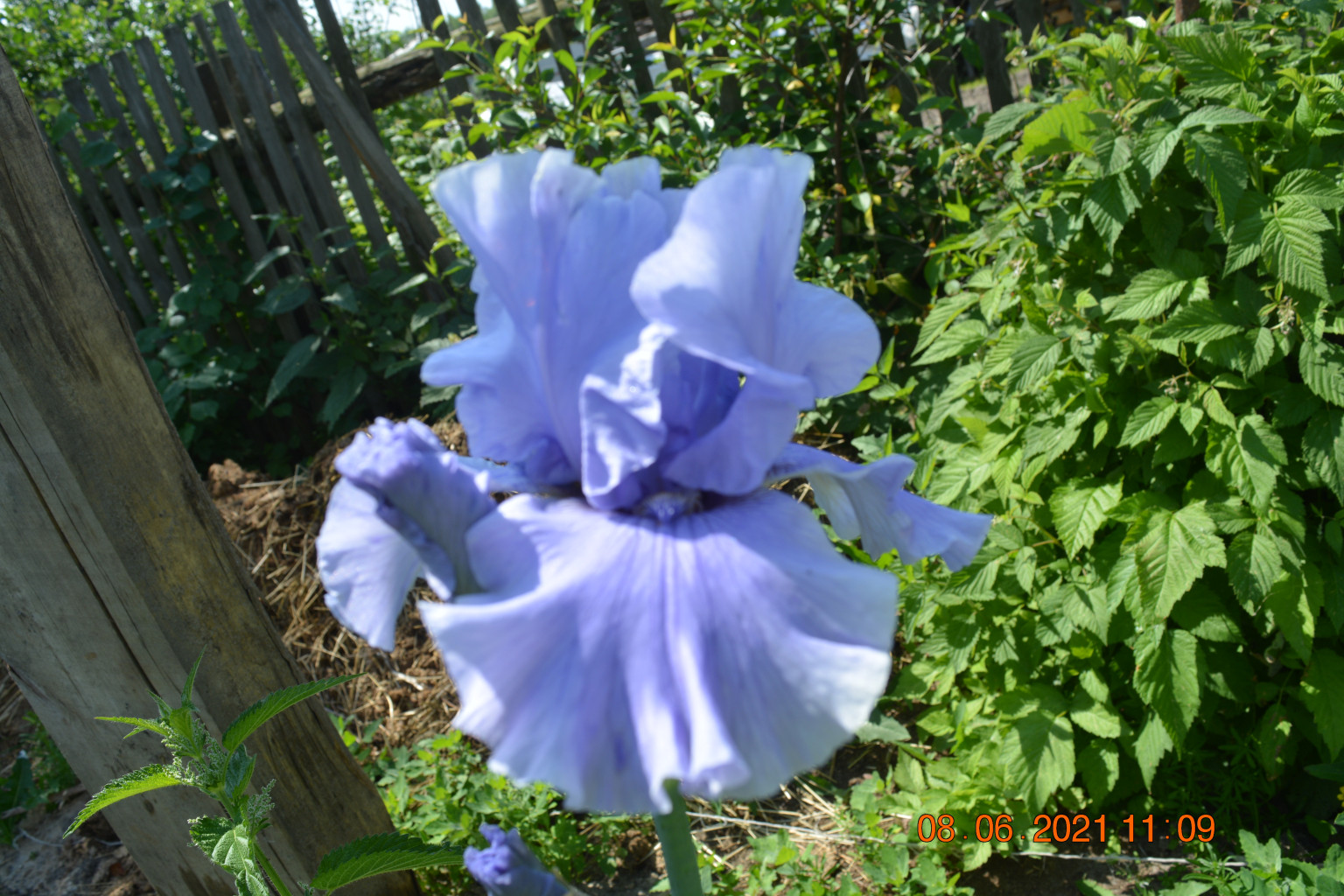 DSC 9714.JPG