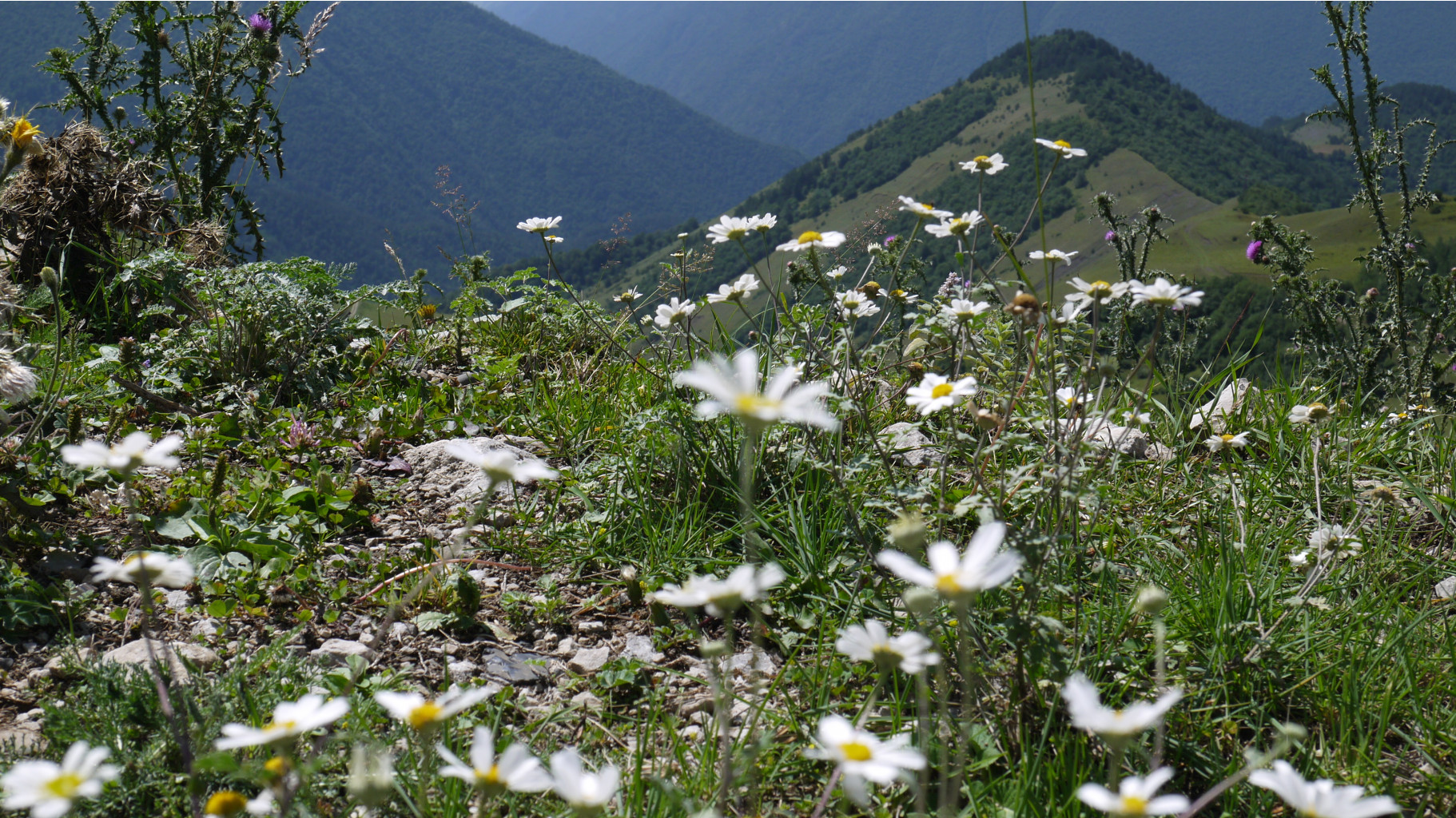P1090864.JPG