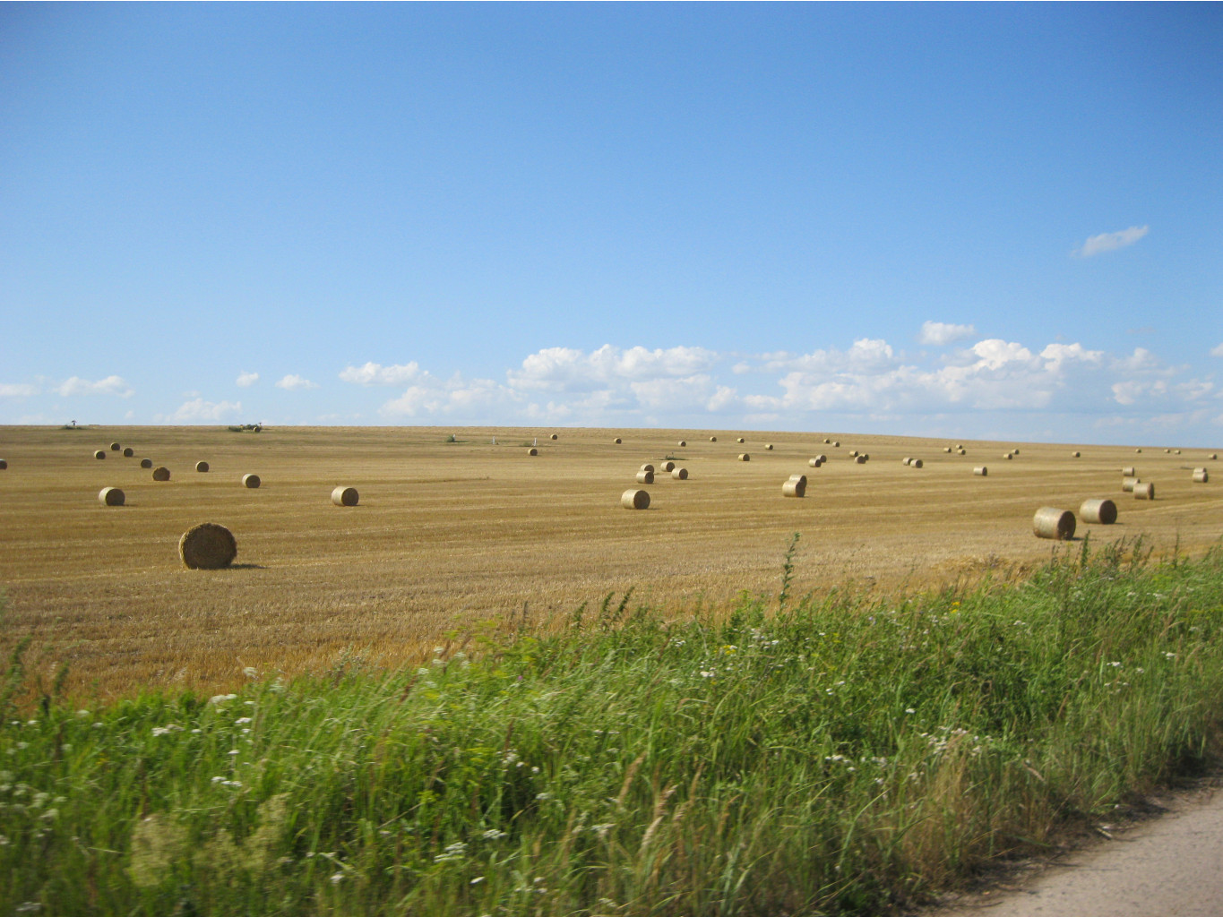 IMG 5699.jpg