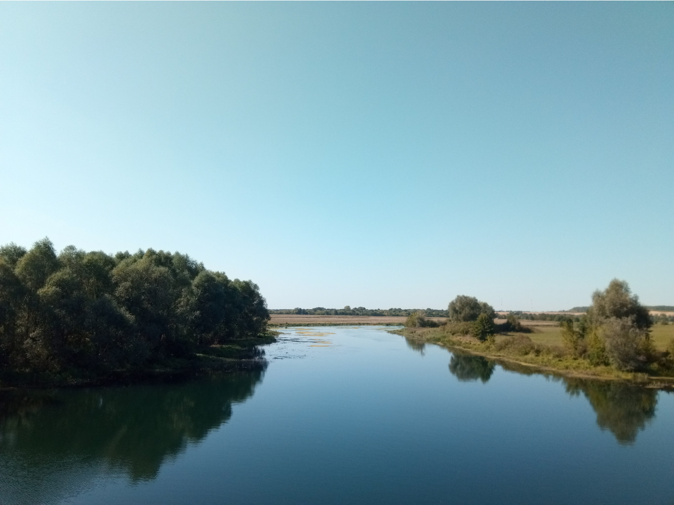 20210828 Б300 Крутецкий 135633.jpg