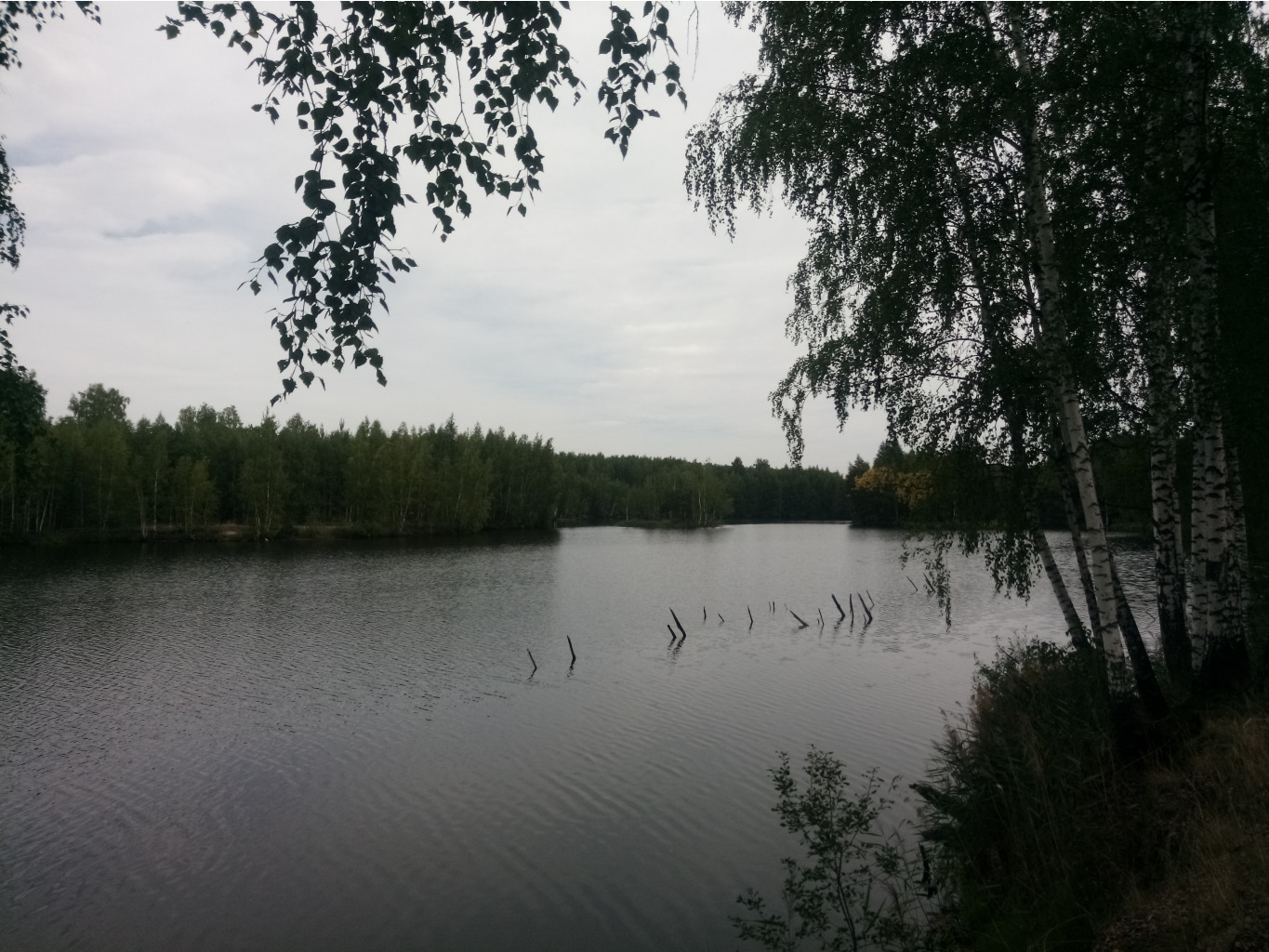 IMG 20210814 103613.jpg