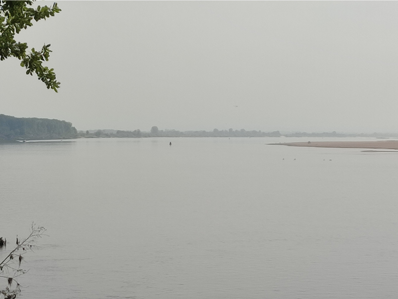 IMG 20210821 122134.jpg