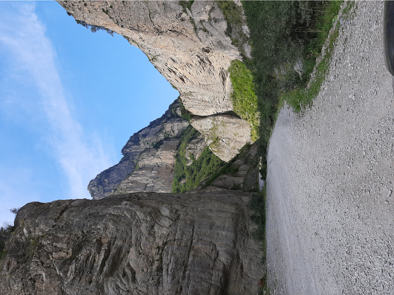 20210804 141959 — .jpg