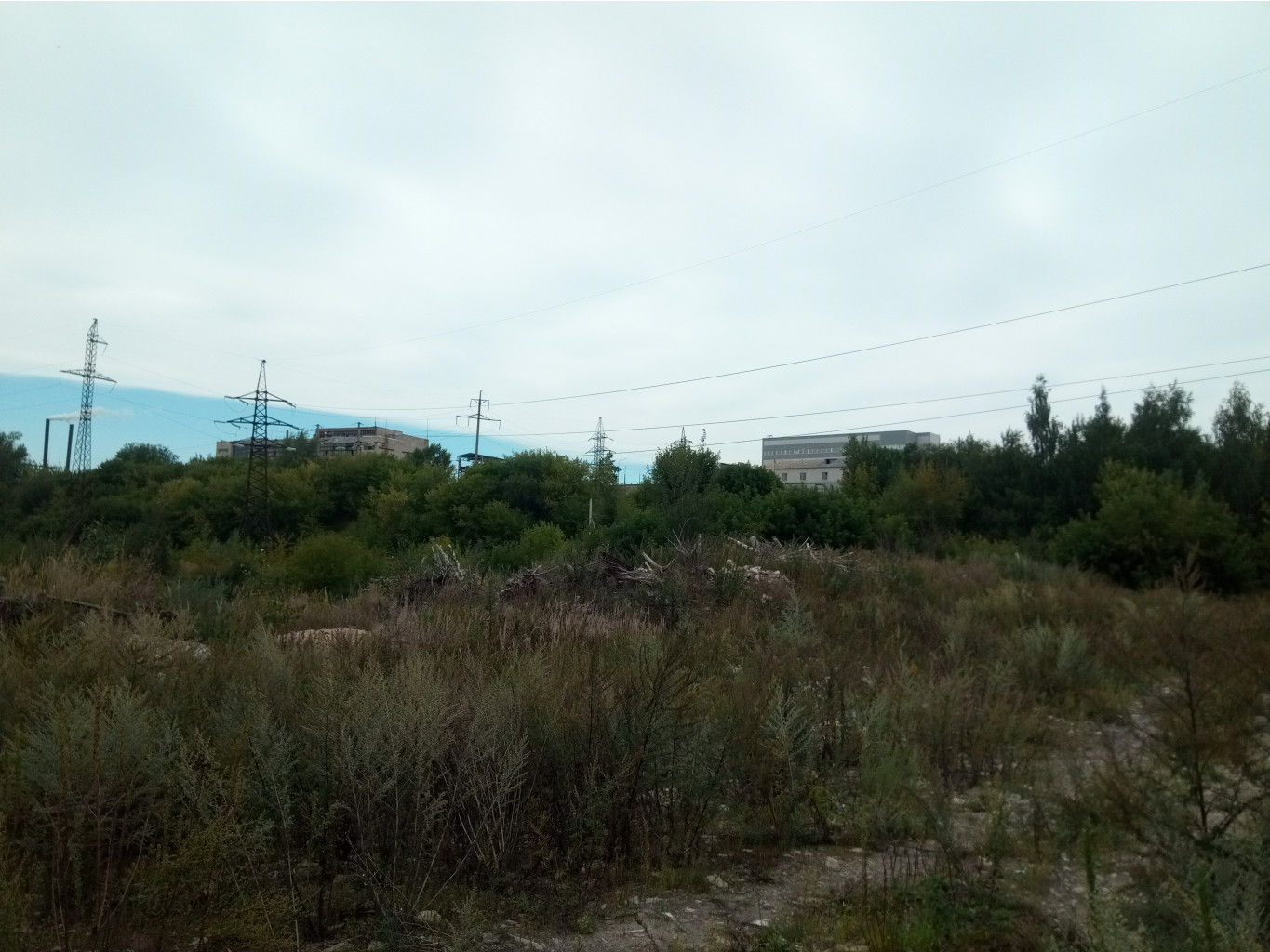 20210814   125432.jpg