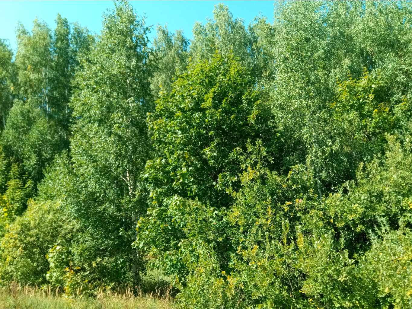 20210828 Б300 Крутецкий 130452.jpg