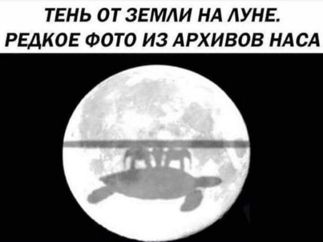 216145 6 nevsedoma com ua.jpg