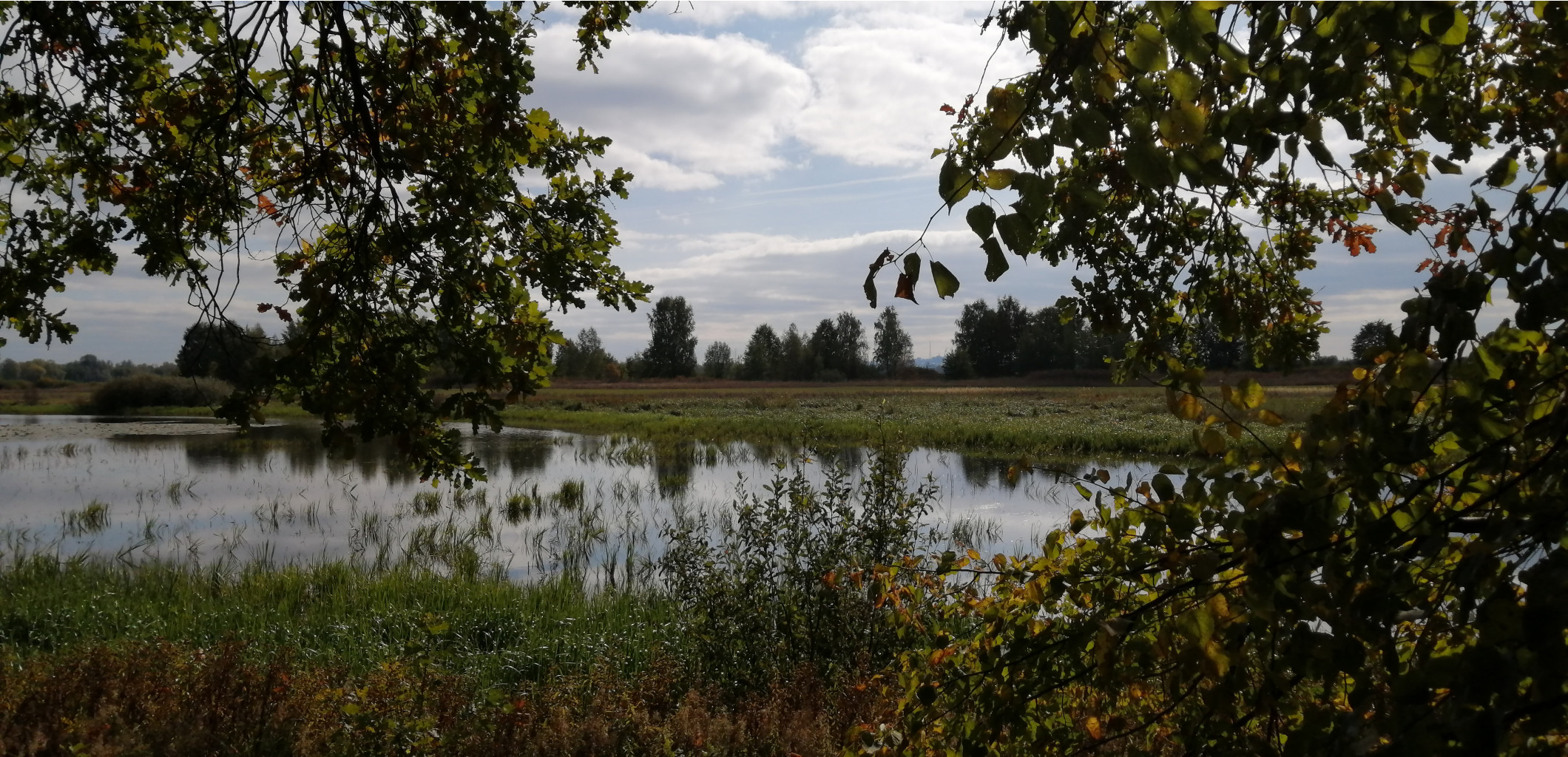 IMG 20210919 104504.jpg