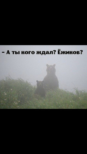    ? ?