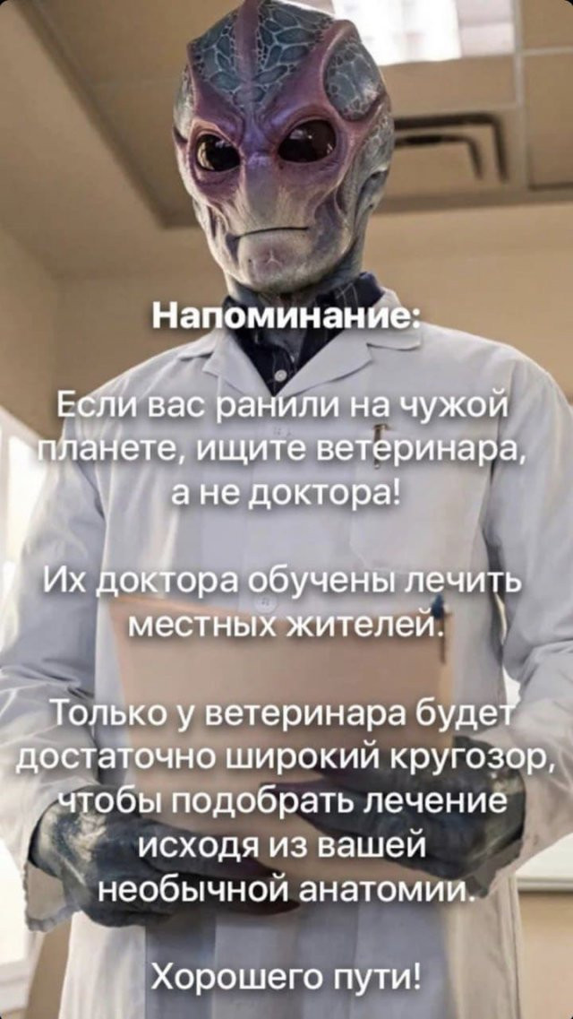 217976 3 nevsedoma com ua.jpg