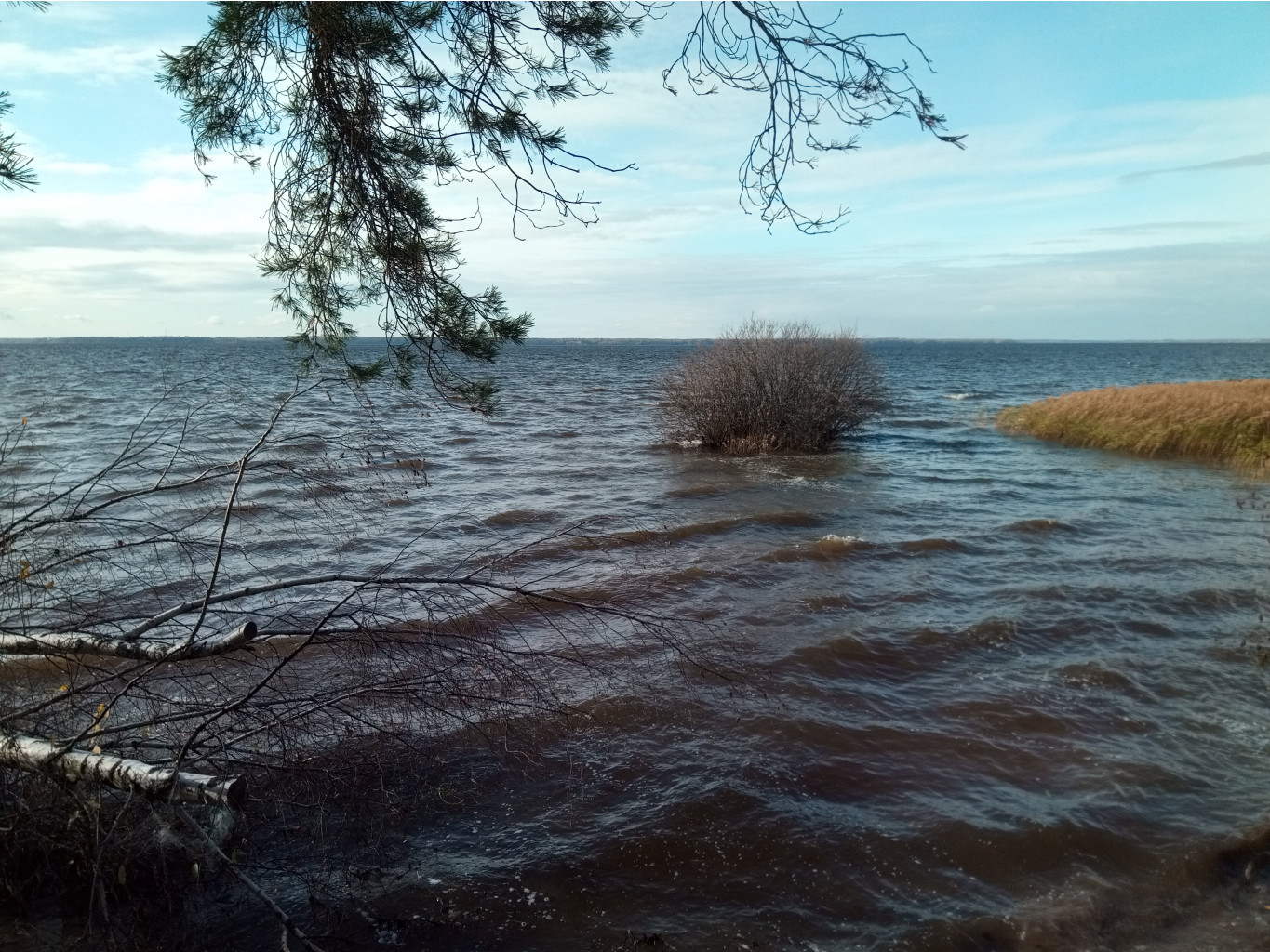 20211023 ̣  112752.jpg